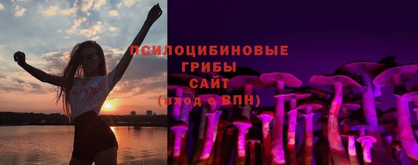 спиды Пересвет
